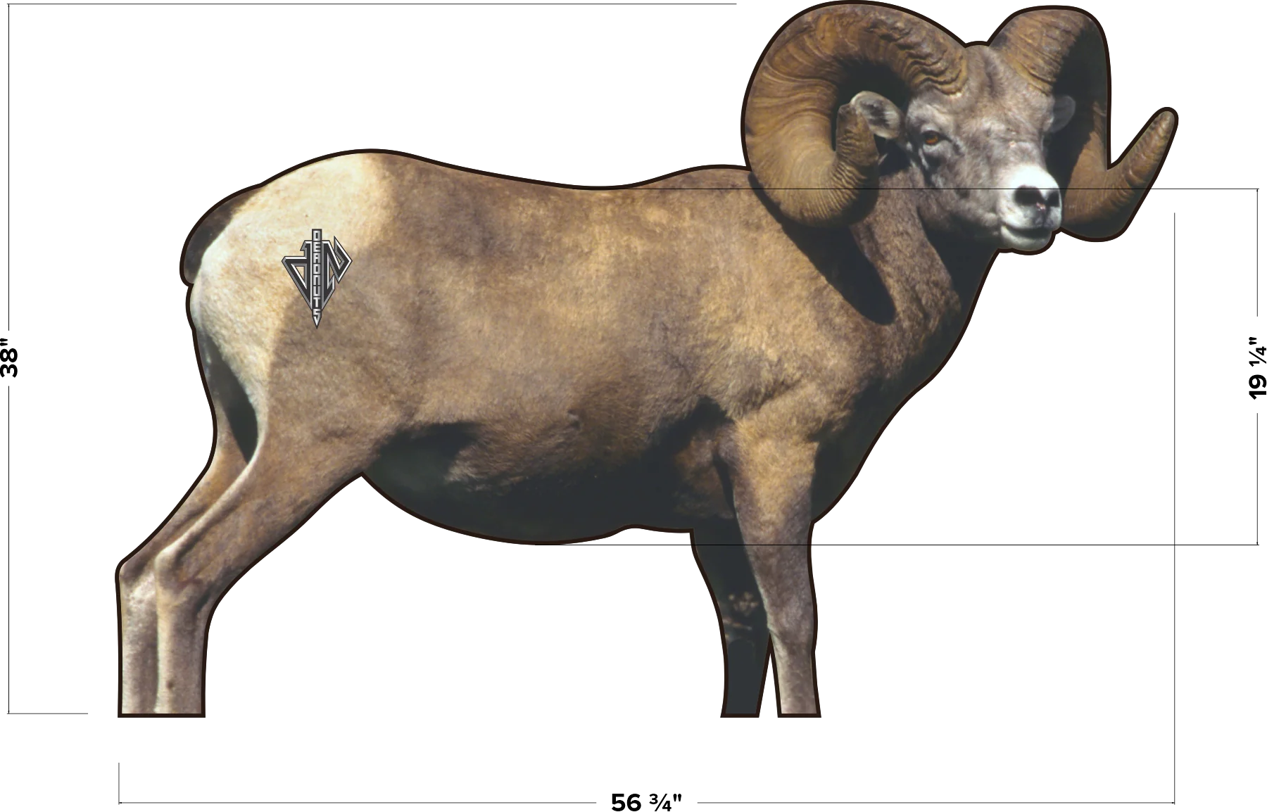 2D Bighorn Broadside Target - Image 4