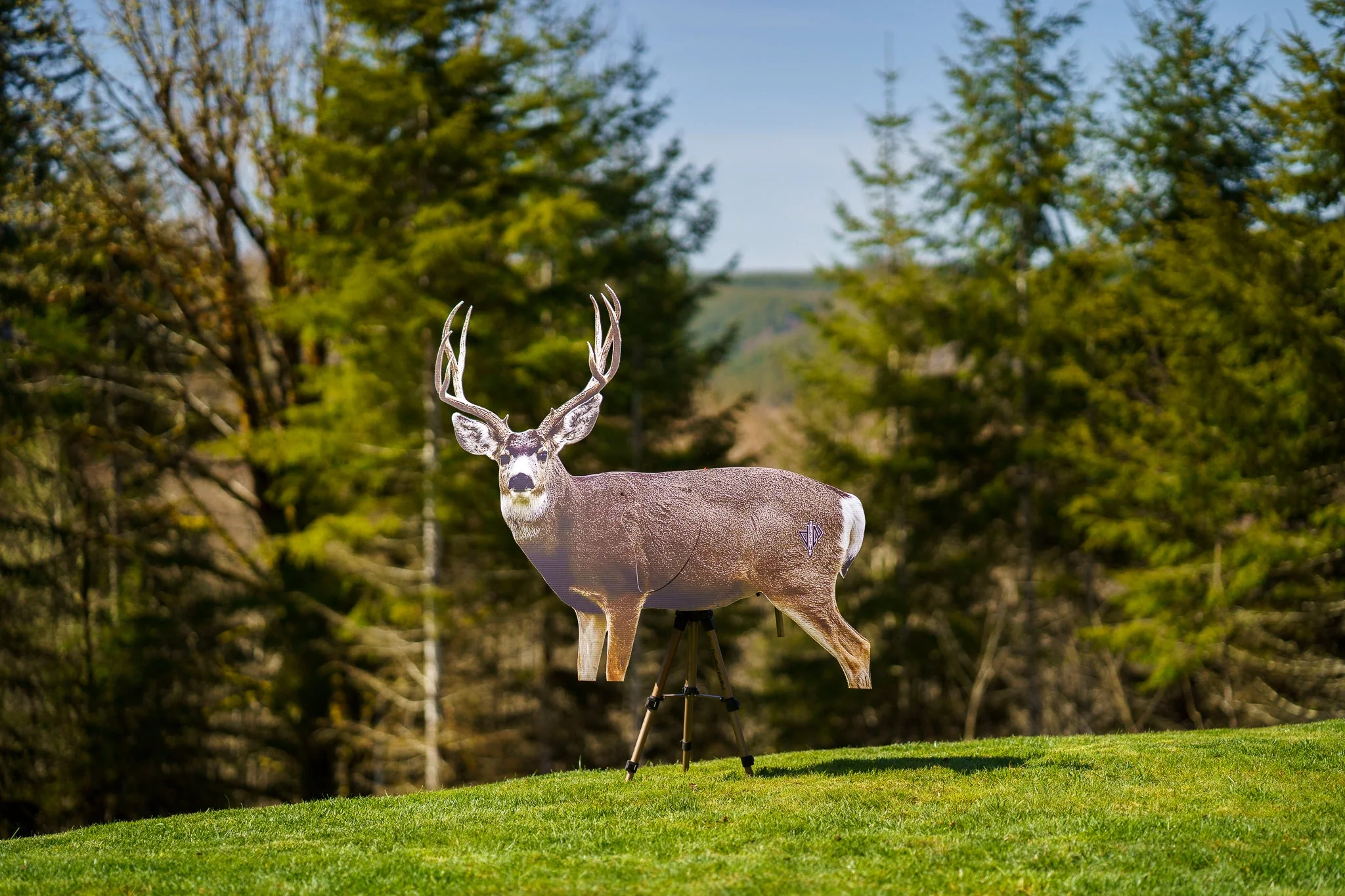 2D Mule Deer Broadside Target - Image 4