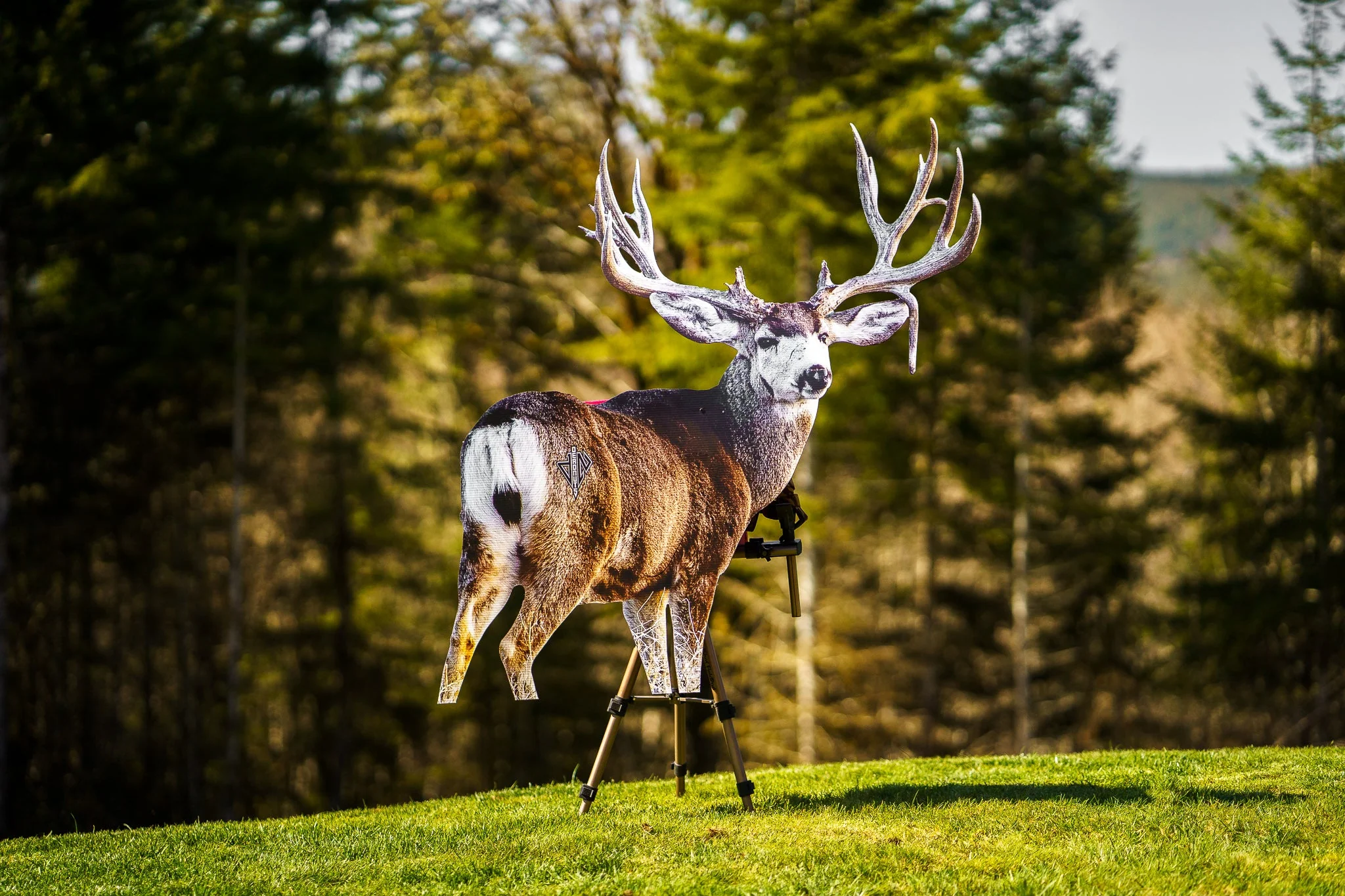 2D Mule Deer Quartering Away Target - Image 4
