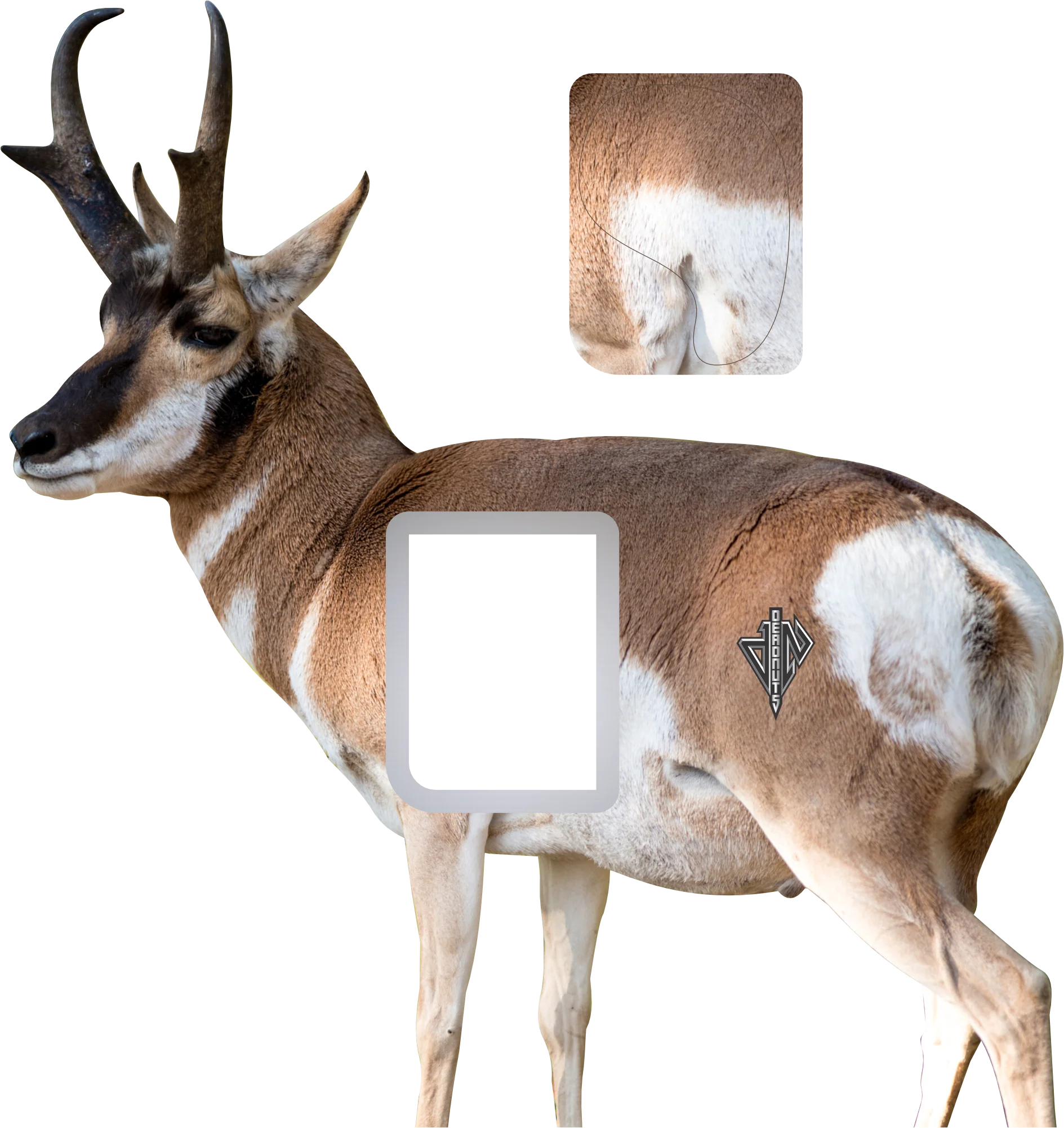 2D Quartering Away Pronghorn Buck - Image 2