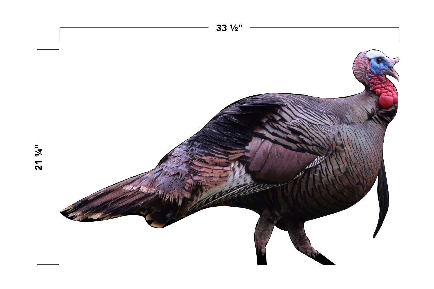 2D Tom Turkey Broadside Target - Image 3