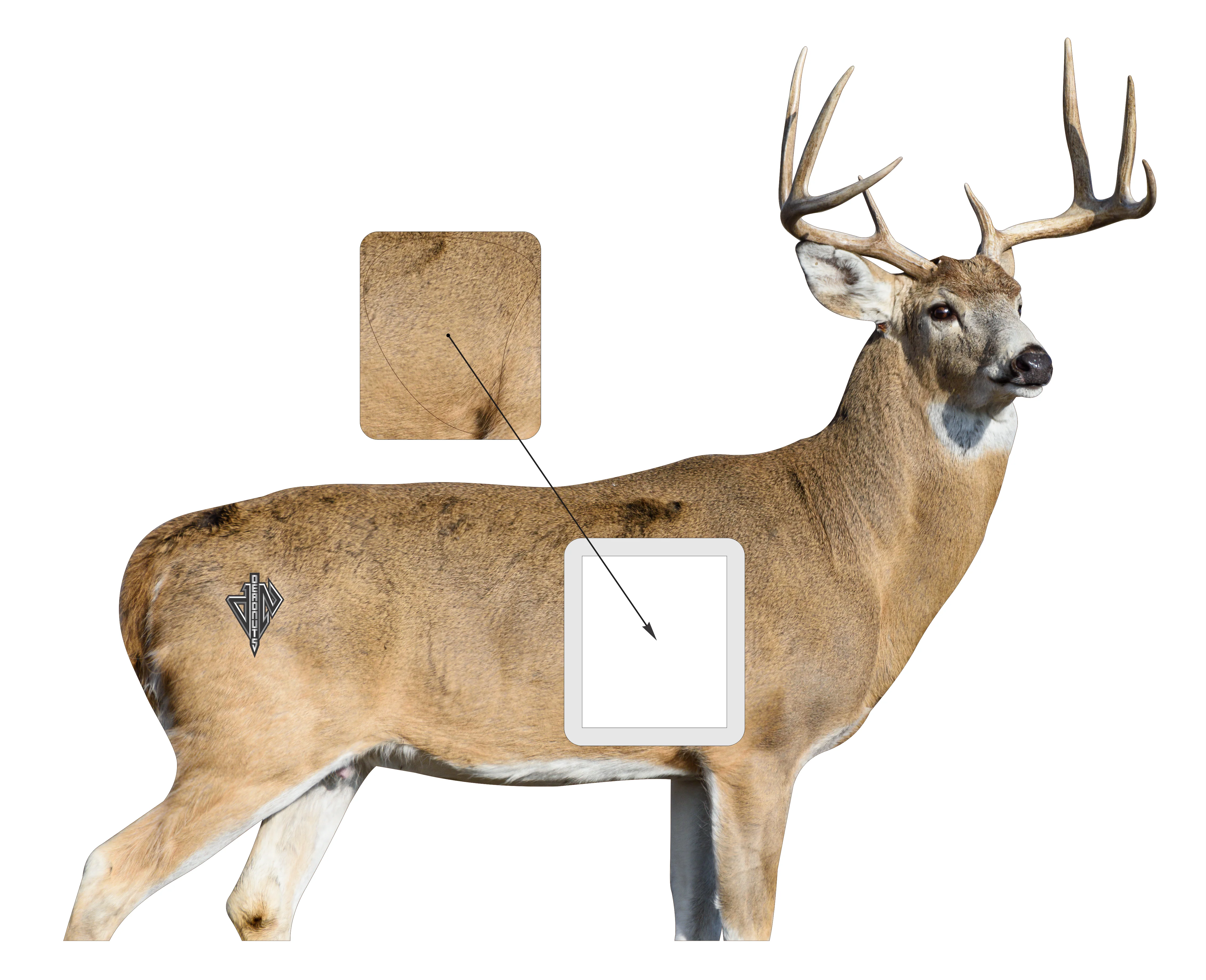 2D Whitetail "Willy" Broadside Target - Image 2