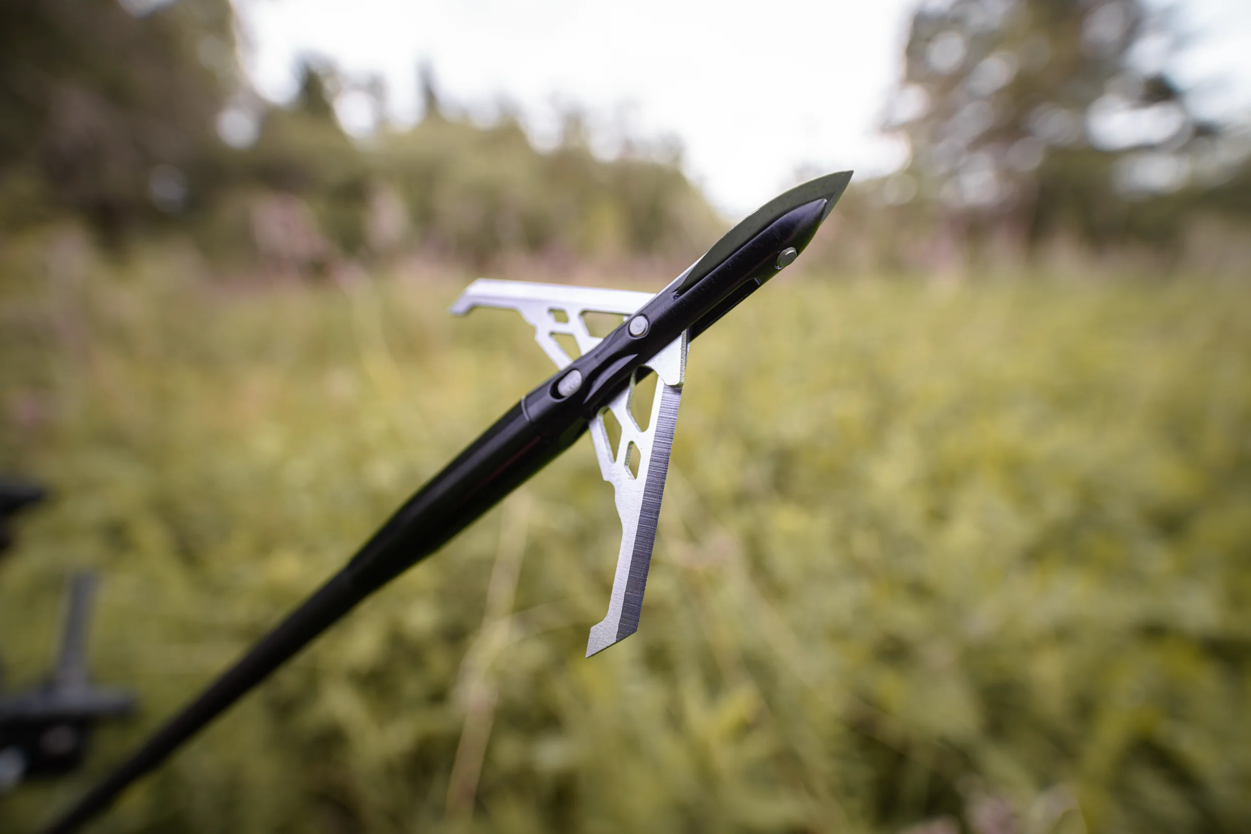 Crosscut 100 - Image 8