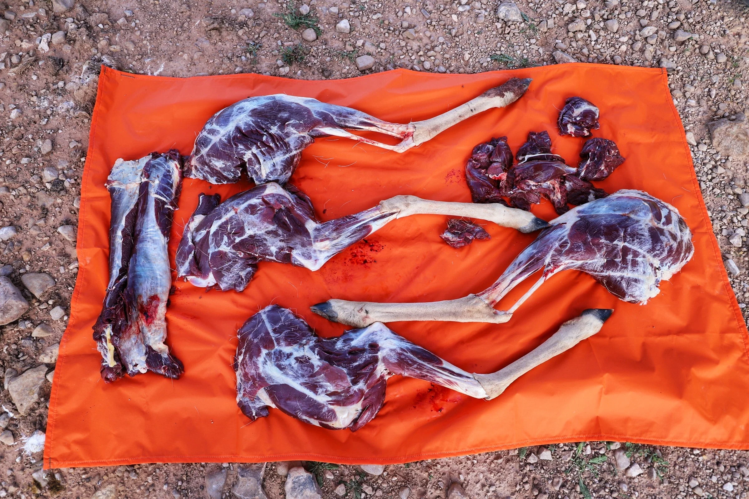 Meat Tarp - Image 4
