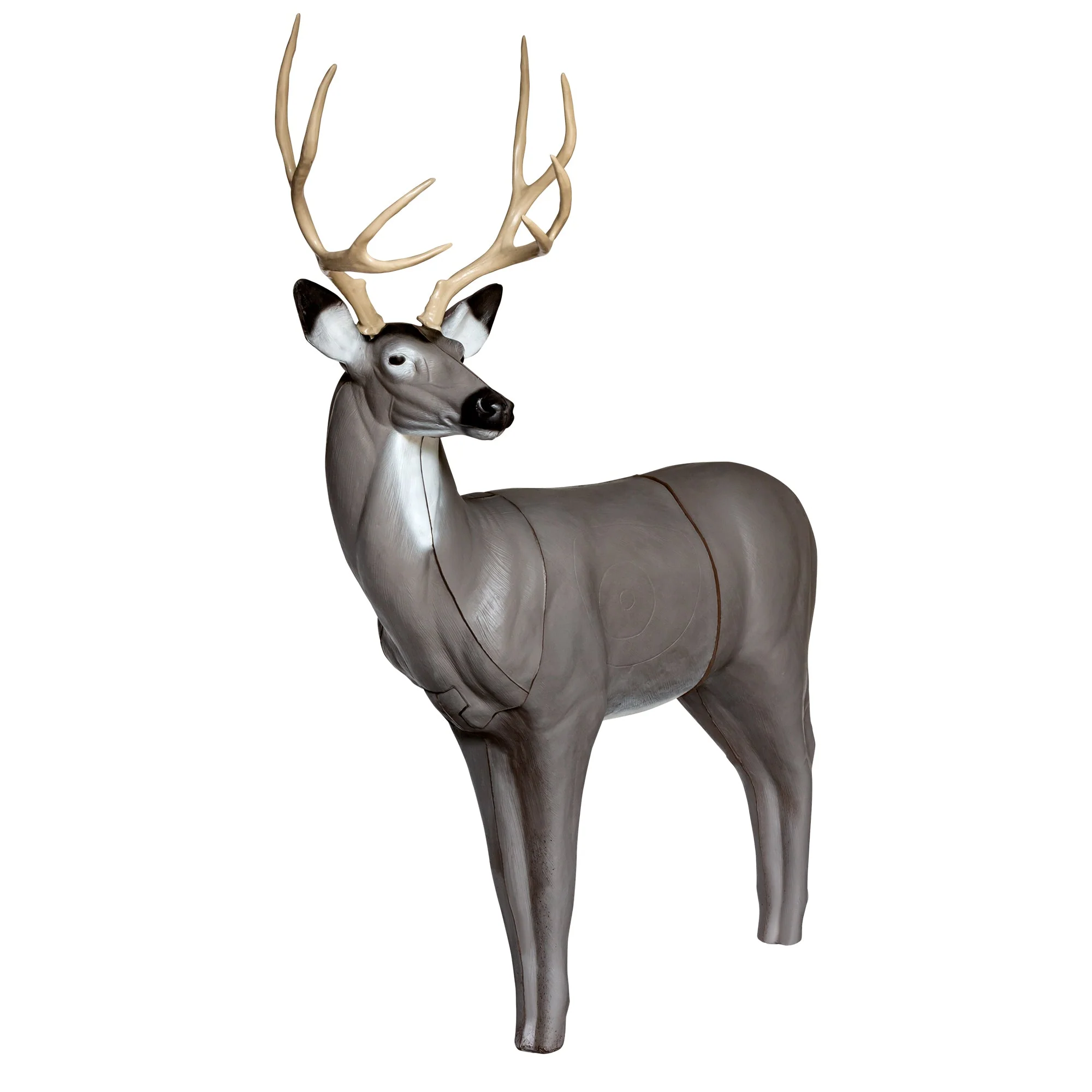 QuivAR Enabled Mule Deer - Image 2