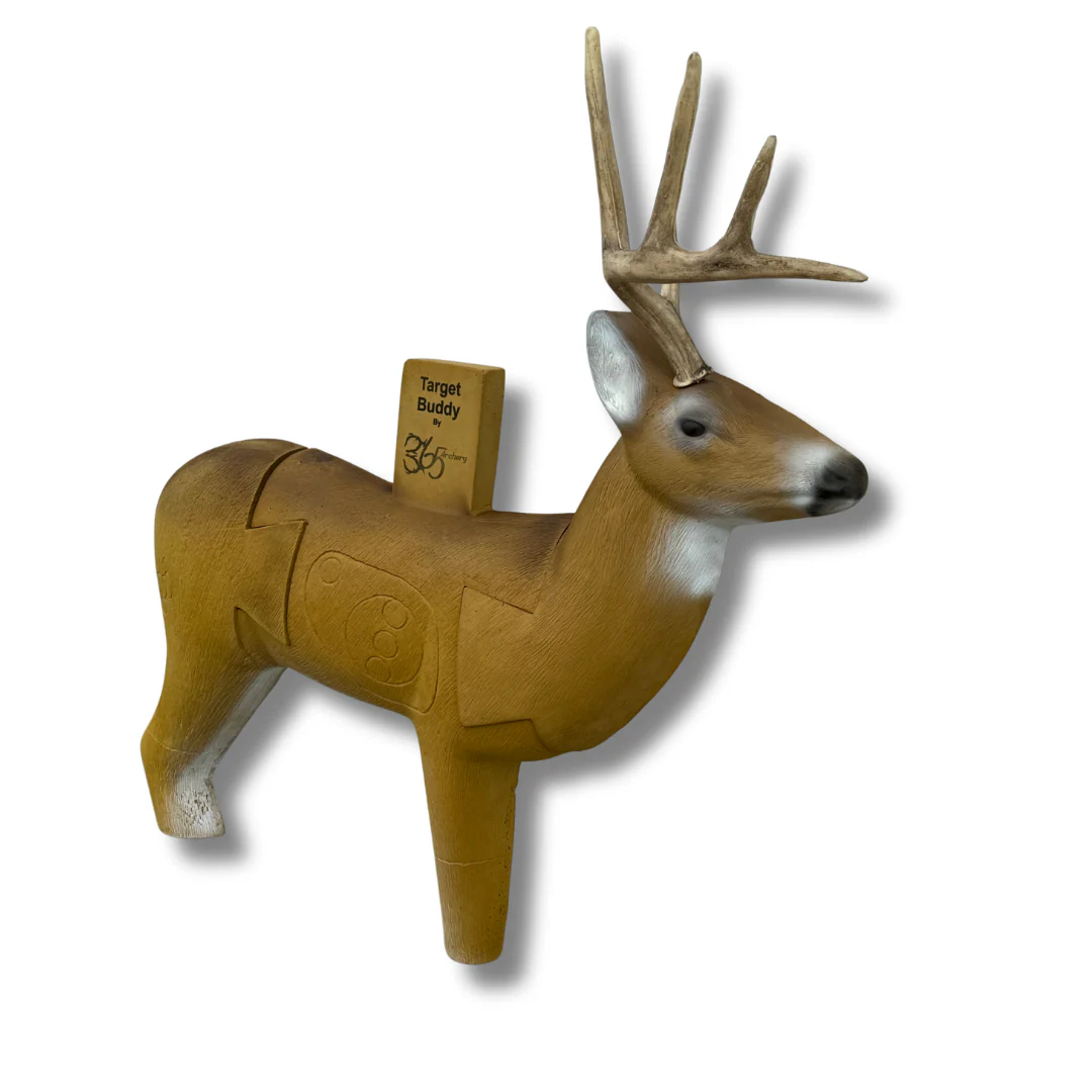 Target Buddy - Whitetail Deer - Image 2