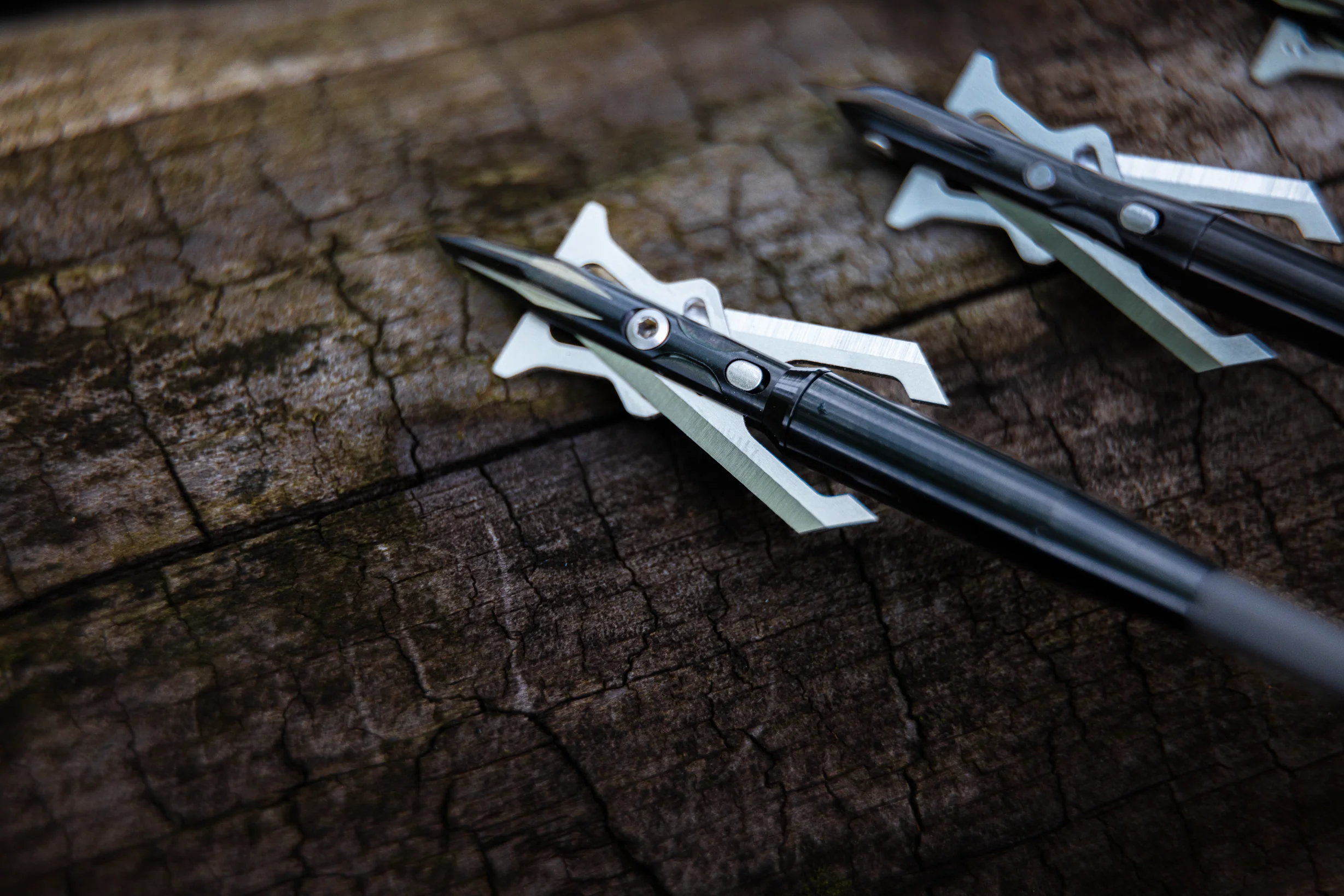 Titanium 100 - Image 8