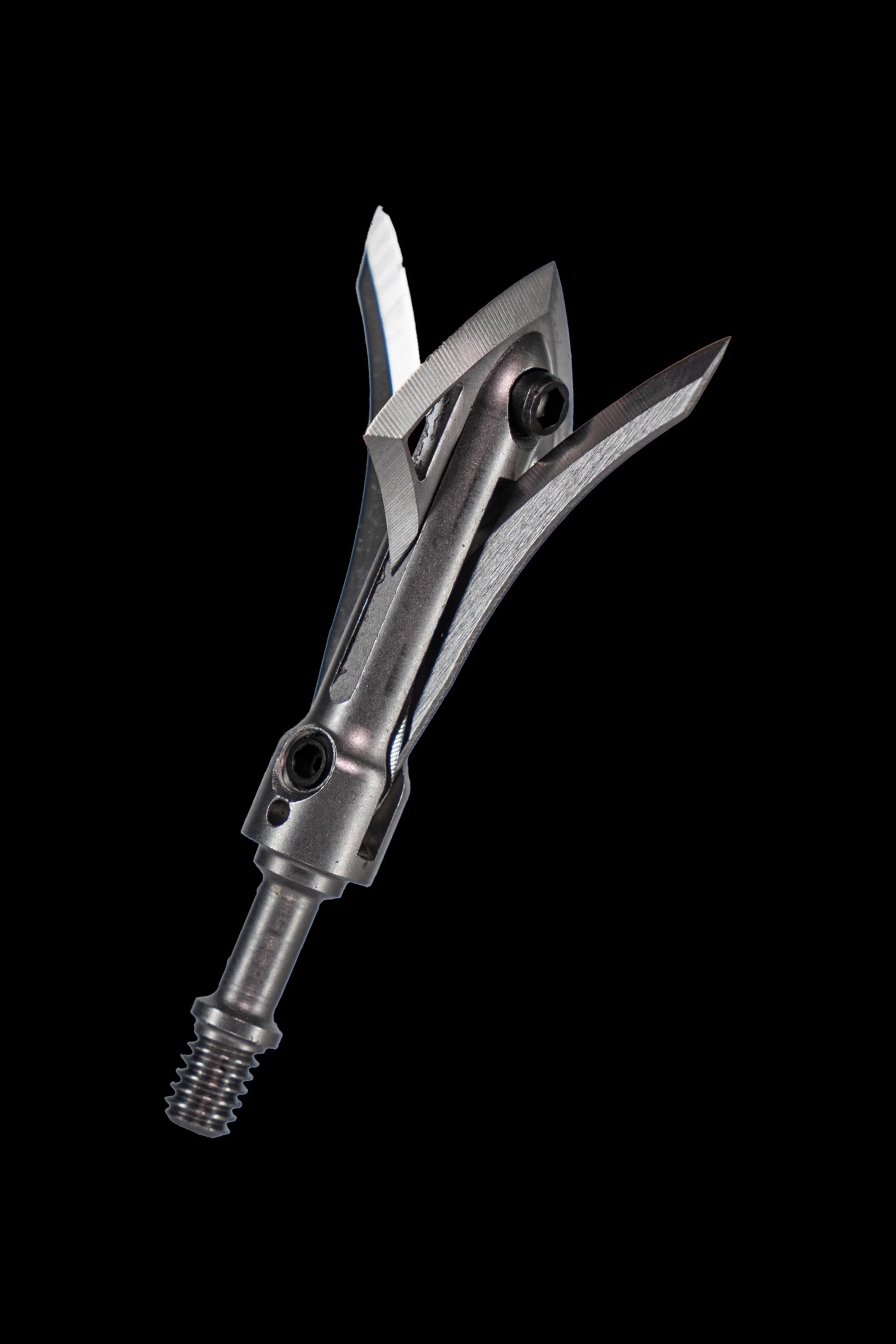 WHITETAIL FURY - Image 4