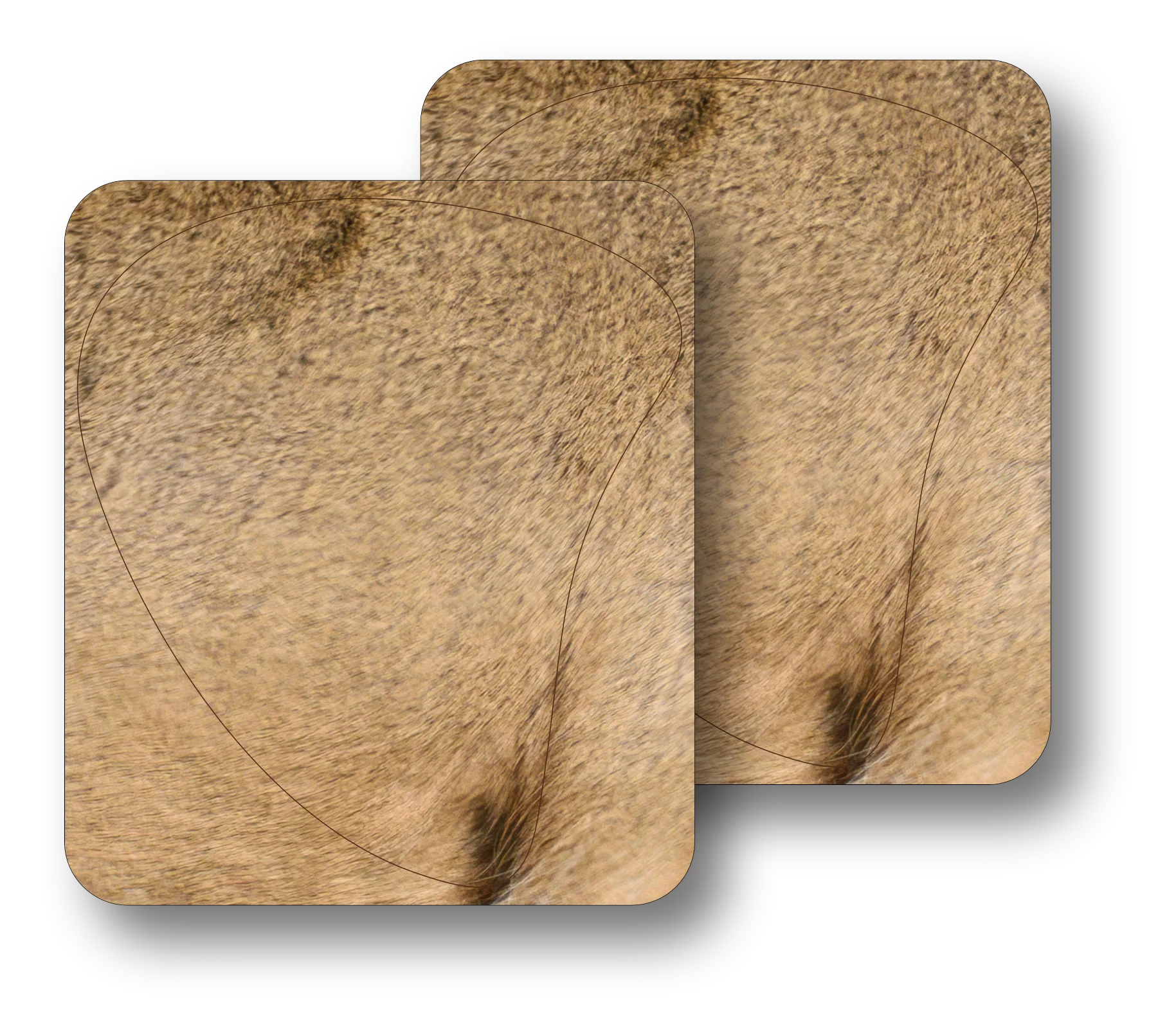 Whitetail "Willy" Broadside Vital Zones