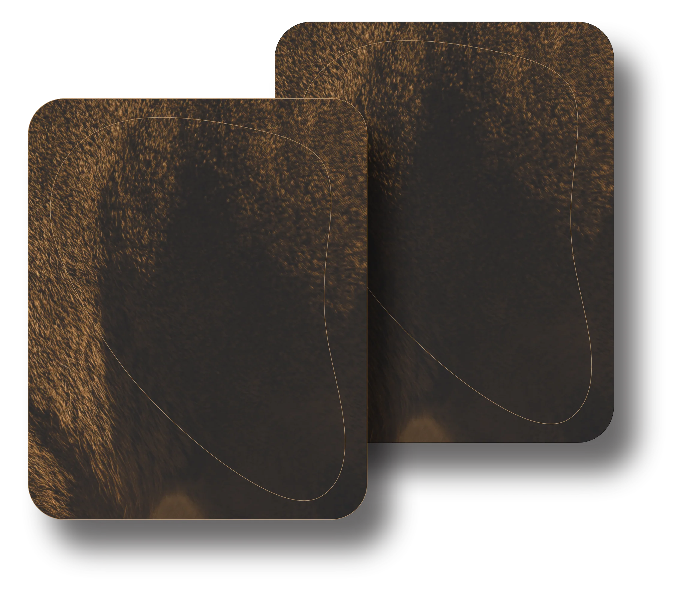 Whitetail "Willy" Quartering Away Vital Zones